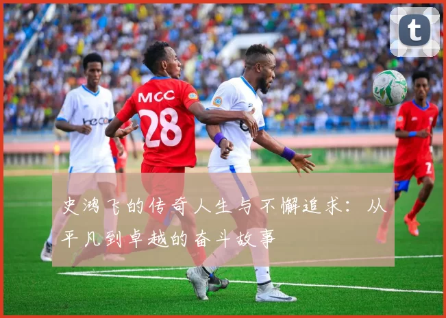 史鸿飞的传奇人生与不懈追求：从平凡到卓越的奋斗故事