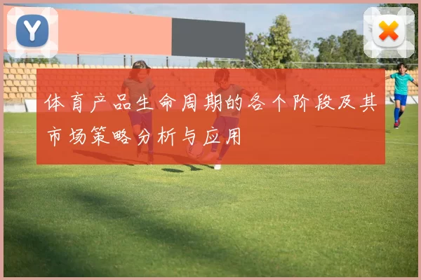 体育产品生命周期的各个阶段及其市场策略分析与应用